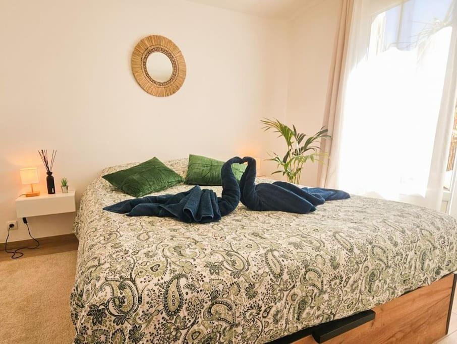 T2 Cosy Toulon, Proche Plage 外观 照片